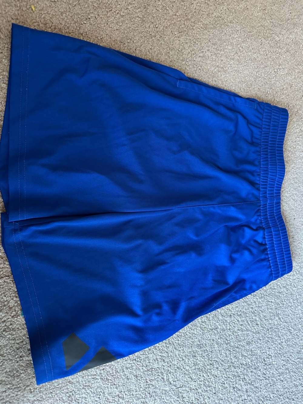 Blue Athletic Shorts with Adidas logo on left thigh